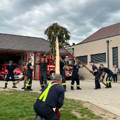 Sie sehen das Aufstellen eines Maibaumes durch die Feuerwehr